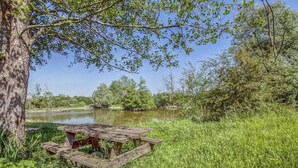 Une table de pique-nique au bord d’une rivière paisible, entourée d’une végétation luxuriante.