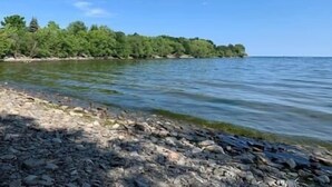 A rocky shoreline with clear water and a forested island in the background. - Luxury 3BR 3BA Family Home,  Walk to Lake, Toronto (Mississauga)