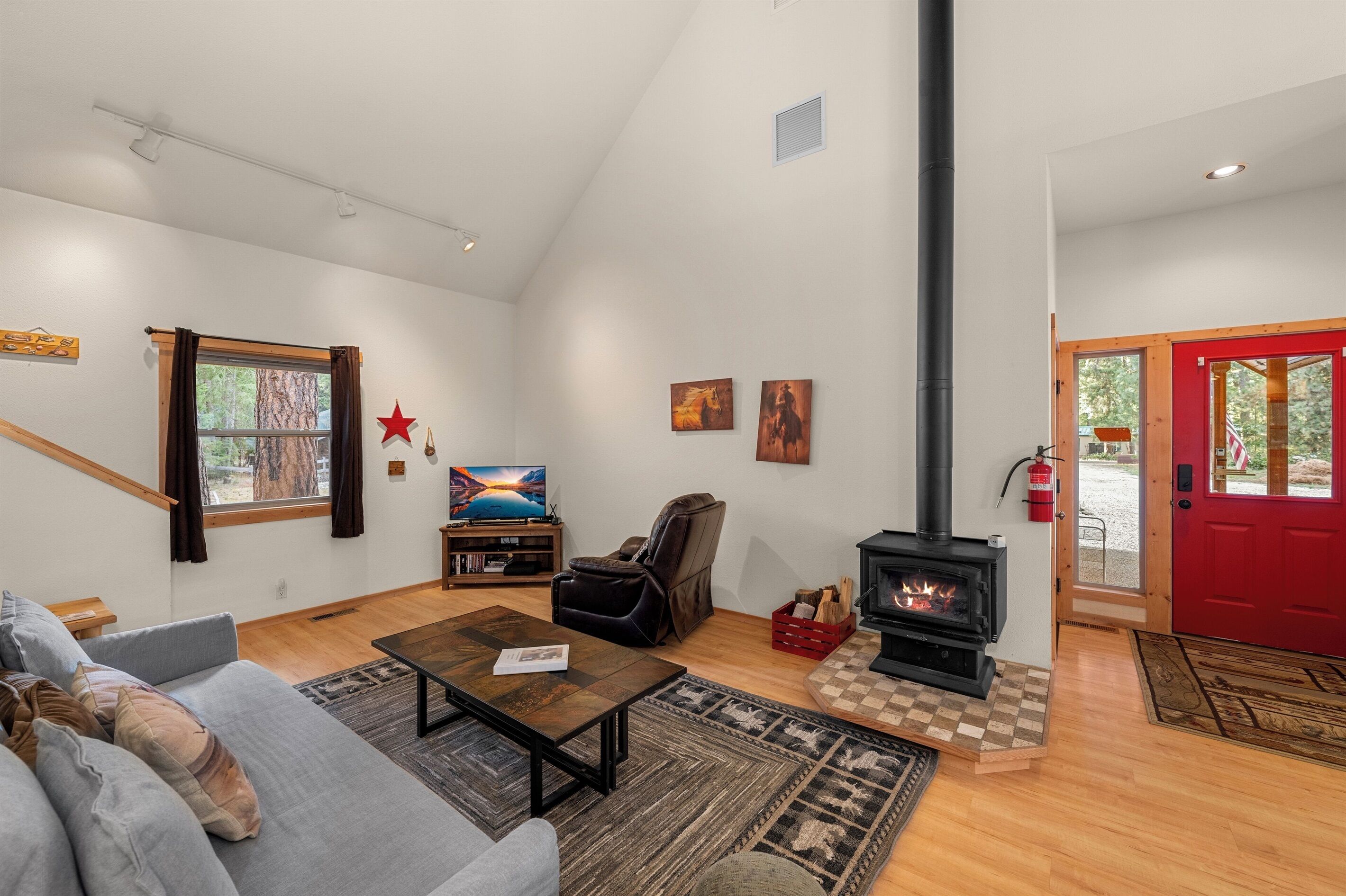 智能電視、壁爐、書籍