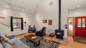 Smart TV, fireplace, books