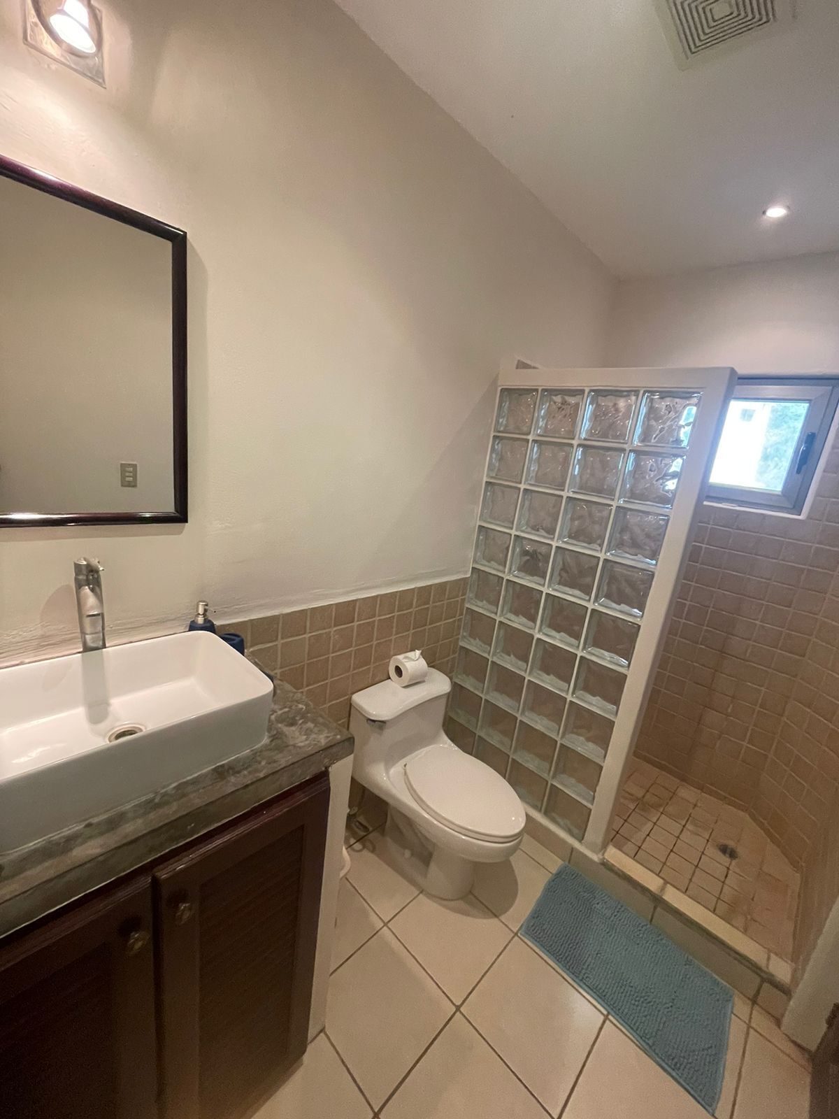 Shower, towels, soap, toilet paper
