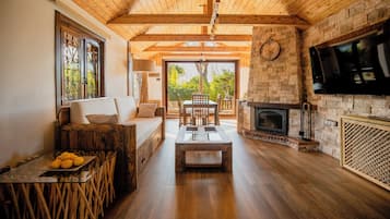 Smart TV, fireplace, books