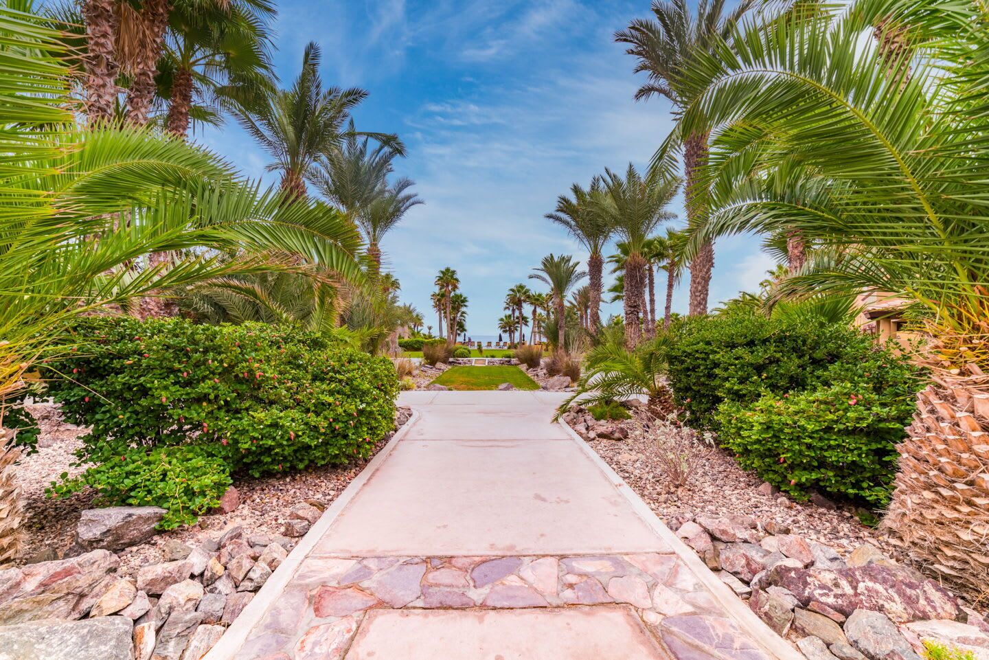 A paved pathway flanked by lush greenery and palm trees, leading towards a building.
