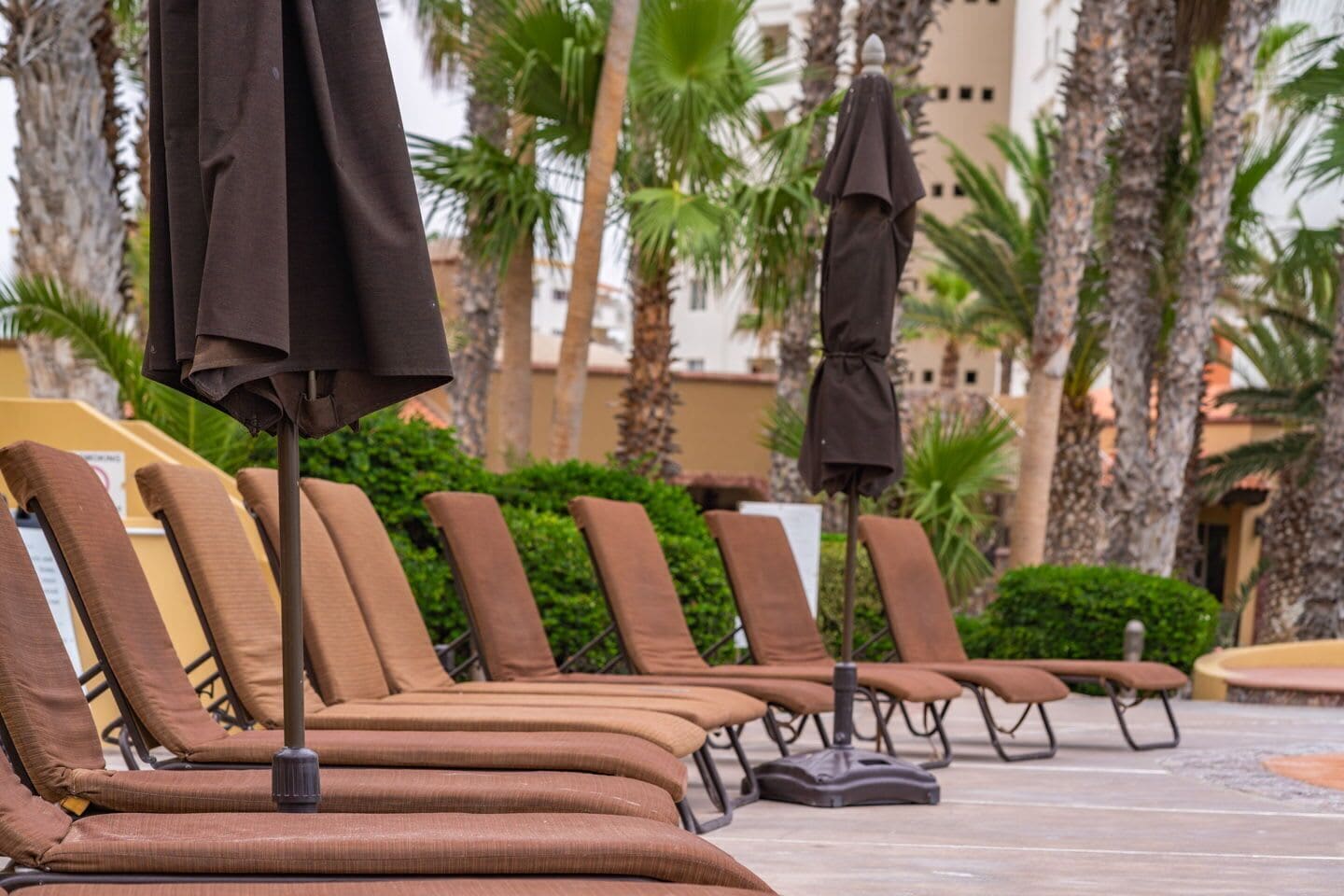 Apartamento superluxo, vista para o oceano | Área da propriedade