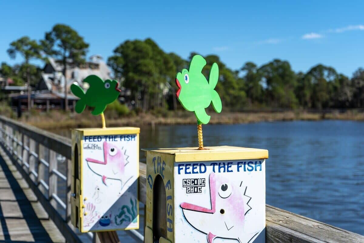 Dos cajas de madera con letreros que dicen 'FEED THE FISH' e imágenes de peces de dibujos animados en un muelle de madera junto al agua.