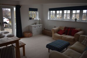 Smart TV, chimenea, reproductor de DVD y libros 