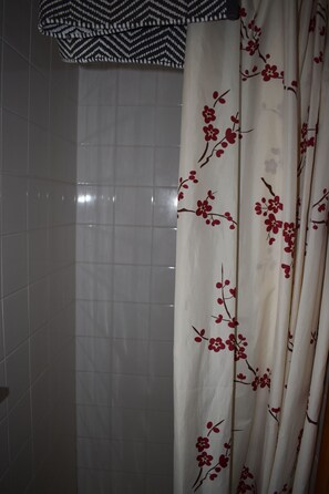 Shower, towels, toilet paper