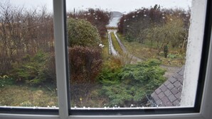 A view through a window with raindrops, featuring a pathway, trees, and a distant body of water.