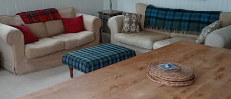 Smart TV, chimenea, reproductor de DVD y libros