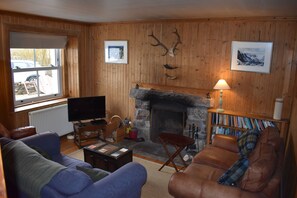 Smart TV, chimenea, reproductor de DVD y libros 