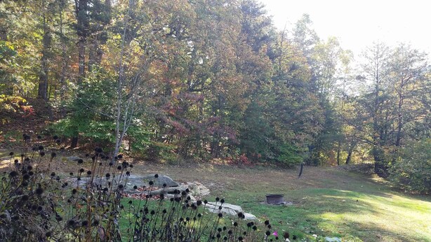 Eine natürliche Außenanlage mit Bäumen, Felsen und einer grünen Wiese.