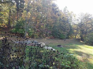 A natural outdoor area with trees, rocks, and a grassy field. - Old Man's Haven - Cabin 1 (Logan)
