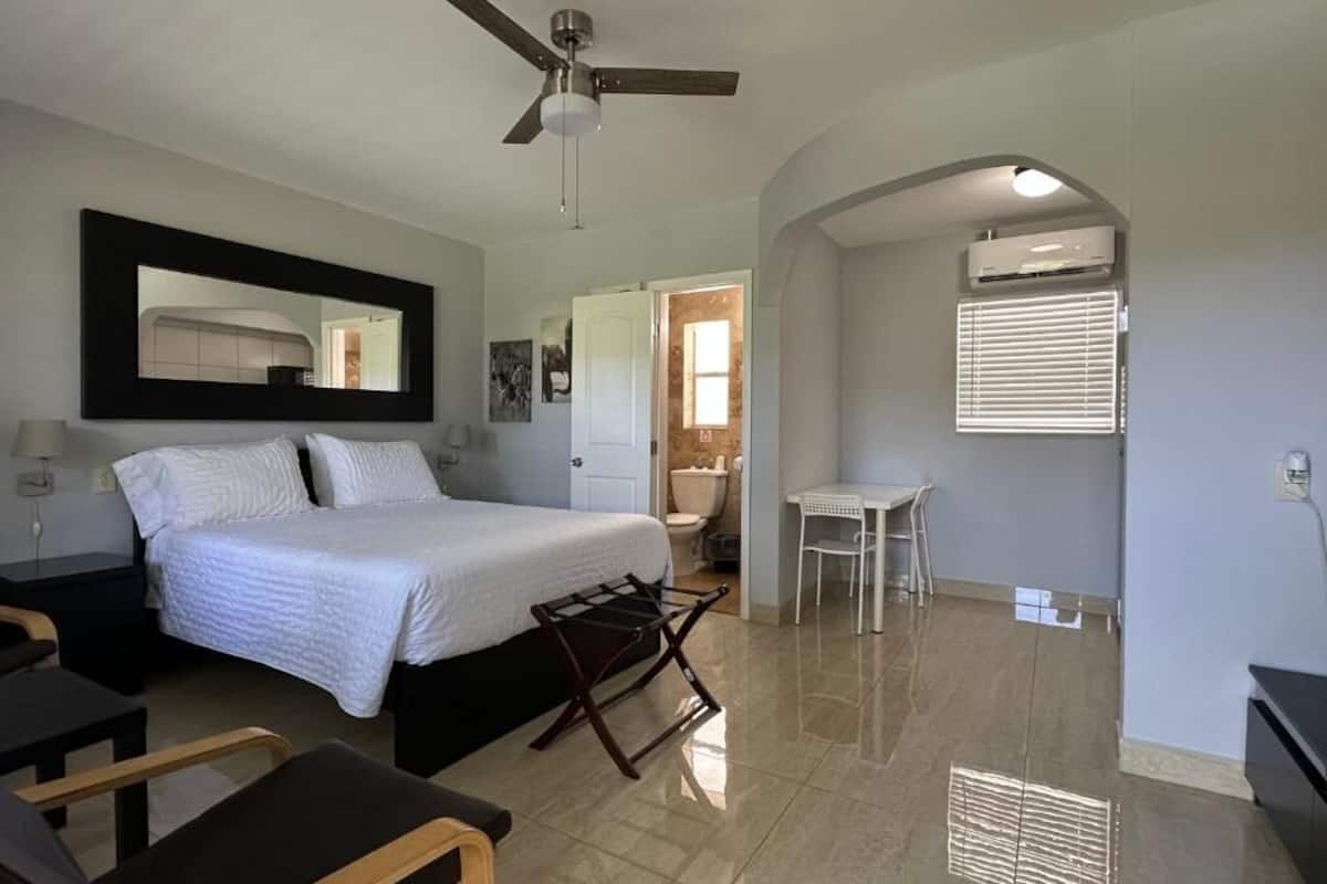 Studio, Pool View | Blackout curtains, iron/ironing board, free WiFi