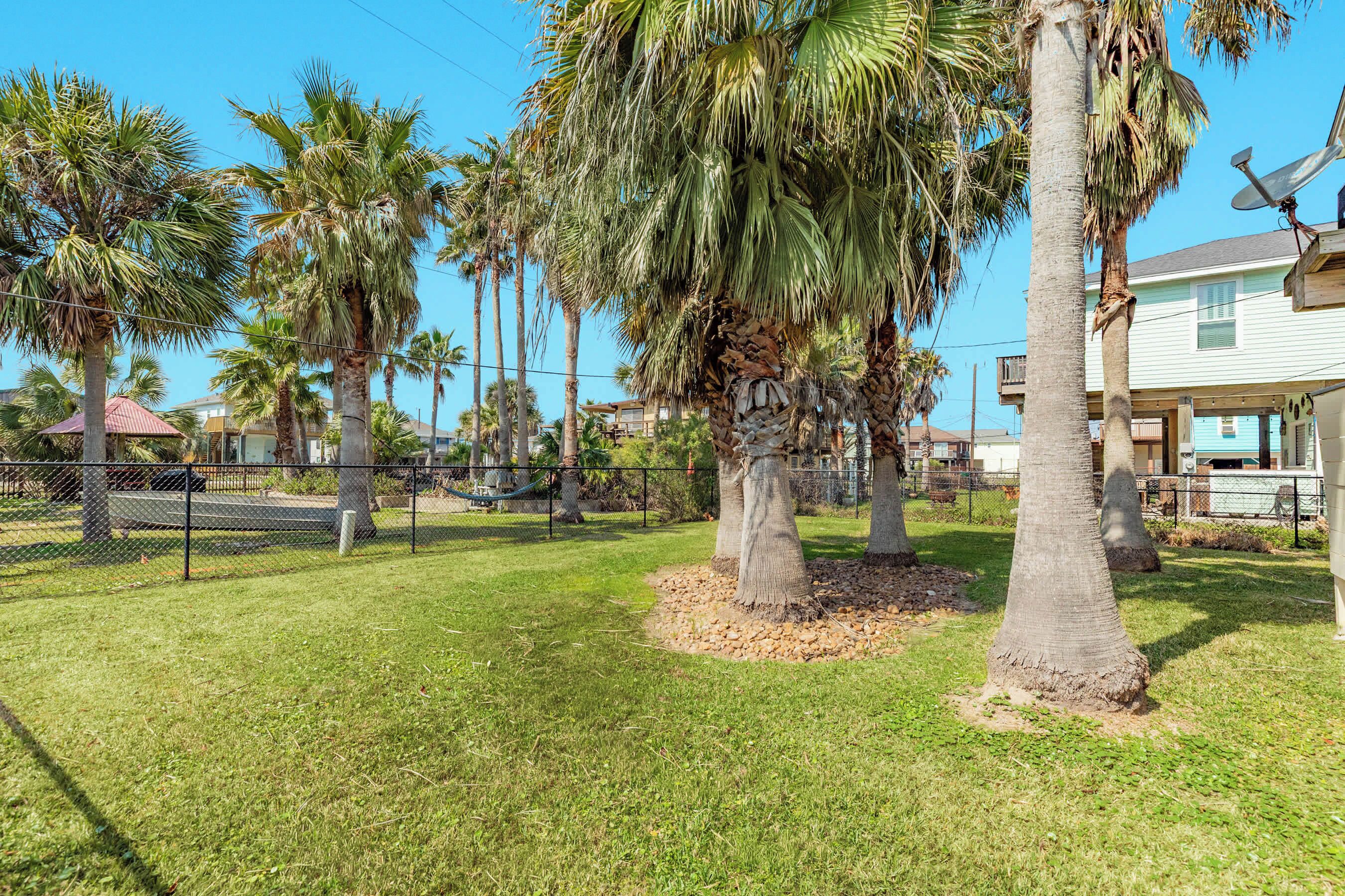 A fenced outdoor area with palm trees and a house in the background.