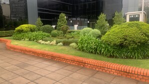 A landscaped garden area with various shrubs and a brick border. - Puente de la Mujer, your private apartment with the best view in Bs. As. (Buenos Aires)