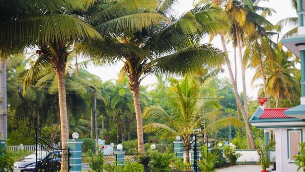 A gated entrance with palm trees, a paved pathway, and a building with a red roof. - The Lobos (Benaulim)