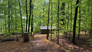 Une zone boisée avec un petit chalet, un sentier menant à celui-ci et un banc en bois.