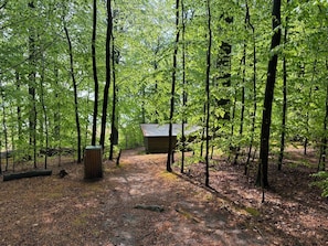 Ein bewaldetes Gebiet mit einer kleinen Holzhütte, einem Weg dorthin und einer hölzernen Bank.
