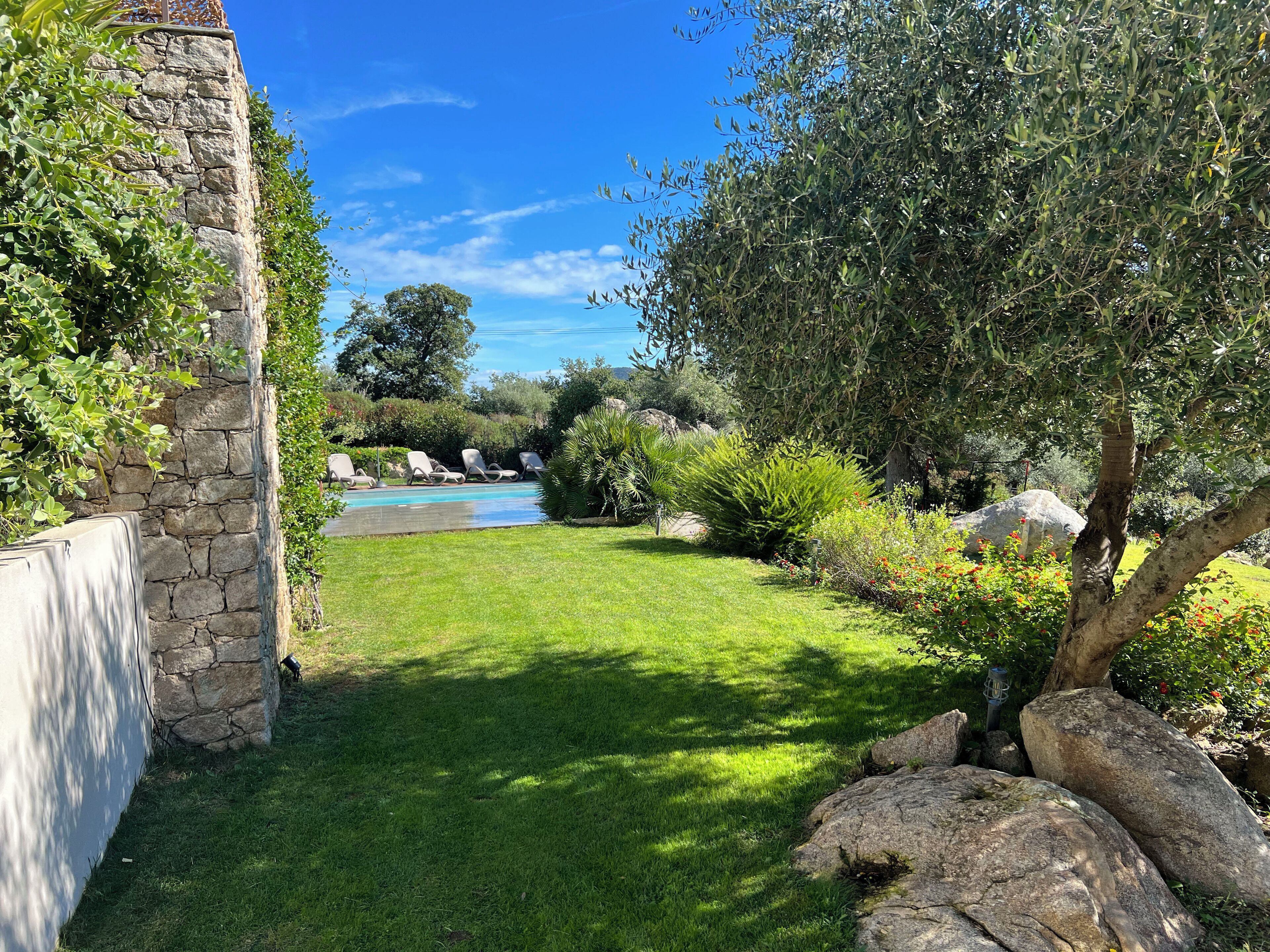 A stone wall with a pool, green grass, and various plants.