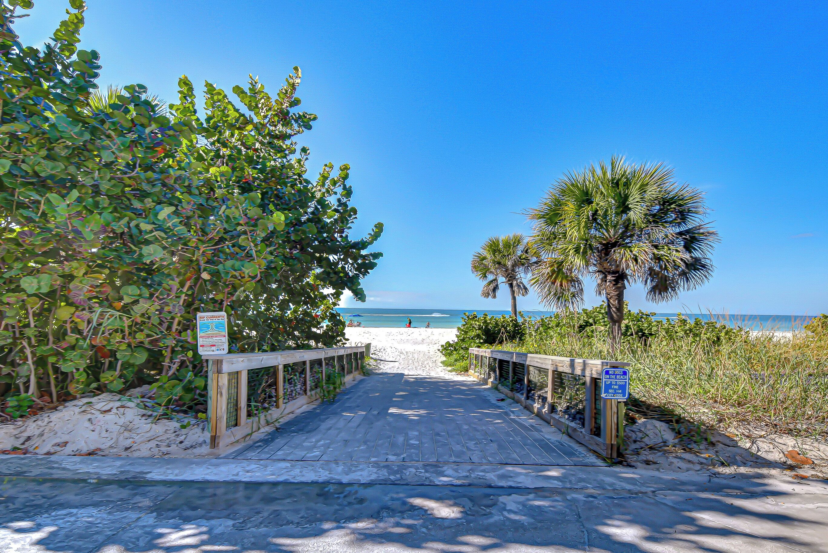 Playa en los alrededores, camastros y toallas de playa 