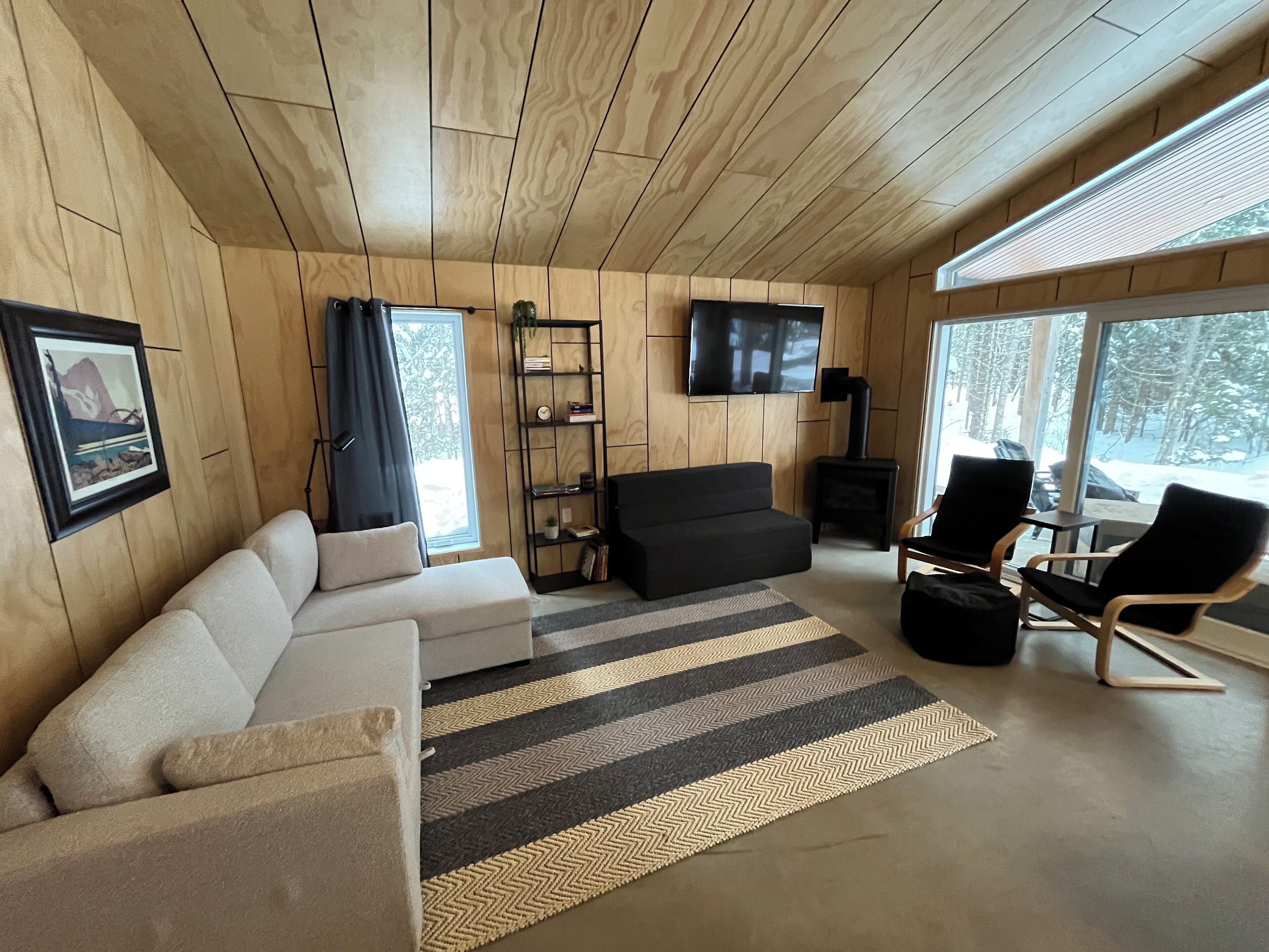 TV connectée, cheminée, livres