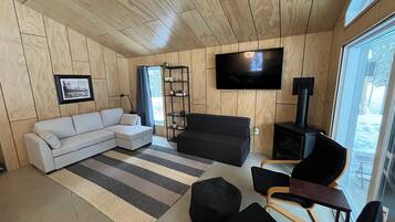 TV connectée, cheminée, livres