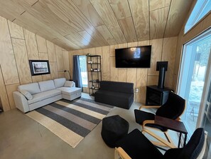 Smart TV, fireplace, books