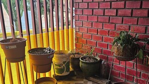 A room with a tiled floor, a brick wall, and various potted plants. - 2-bedroom house in Huaraz. 10 minute walk from Plaza de Armas (Huaraz)
