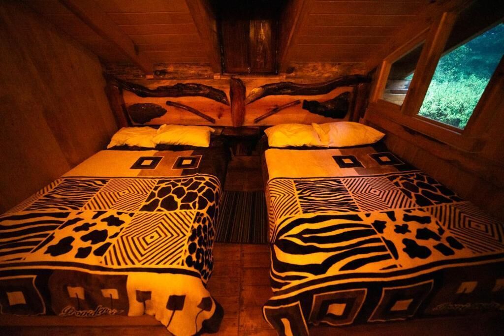 A room with two beds, each with patterned bedding.