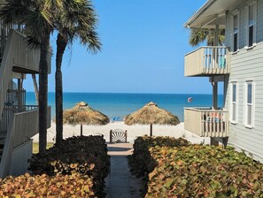 Property grounds - Pelicans Roost Beach House Right On The Beach (Indian Rocks Beach)
