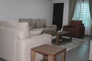 Televisión 