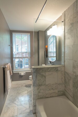 Chuveiro, secador de cabelo, toalhas de banho, sabonete