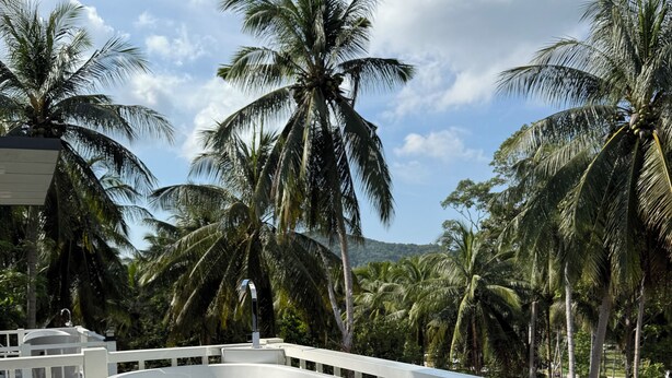 Une baignoire blanche sur une terrasse en bois, agrémentée d’une balustrade blanche, d’où l’on peut admirer un paysage tropical avec des palmiers et un ciel dégagé.