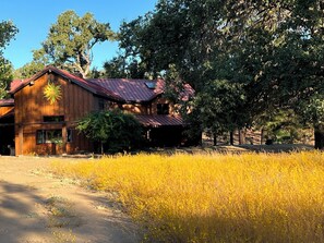 A rustic wooden building with a red roof, surrounded by tall trees and a field of yellow flowers. - A Private Sierra Lake Sanctuary — Truly An Unforgettable Vacation Experience (North Fork)