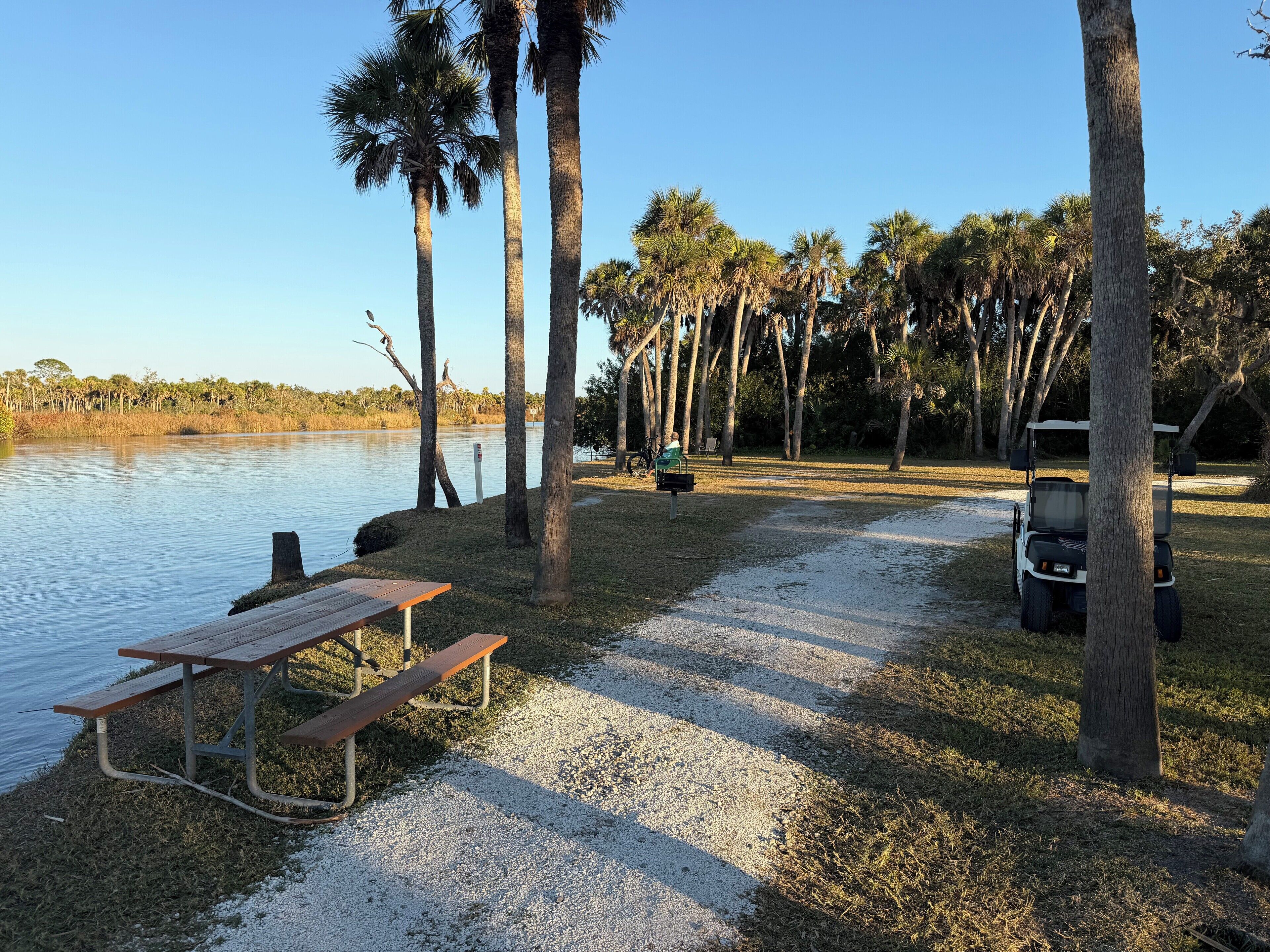 A lakeside park with a picnic table, a golf cart, and tall palm trees.