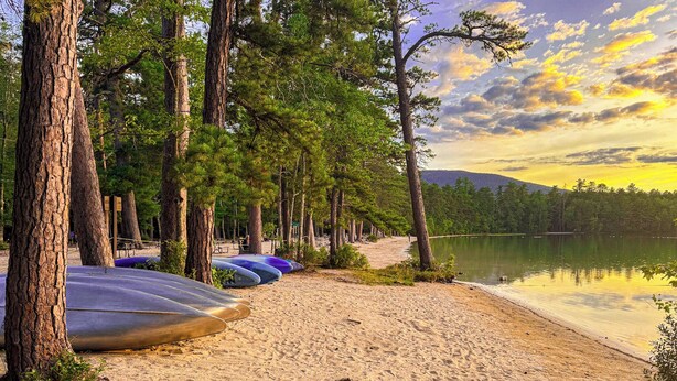 Une plage où l’on aperçoit des kayaks alignés et des arbres en arrière-plan.