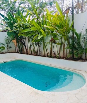 A rectangular swimming pool with a tiled deck, surrounded by lush green tropical plants and a white wall. - Casa Myla by Betterplace (Pecatu)