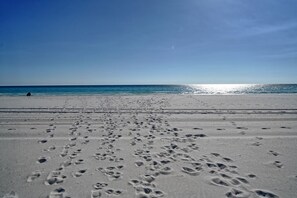 Beach nearby - Ocean Front 3 bed 3 bath sleeps 12 & Pet Friendly (Panama City Beach)