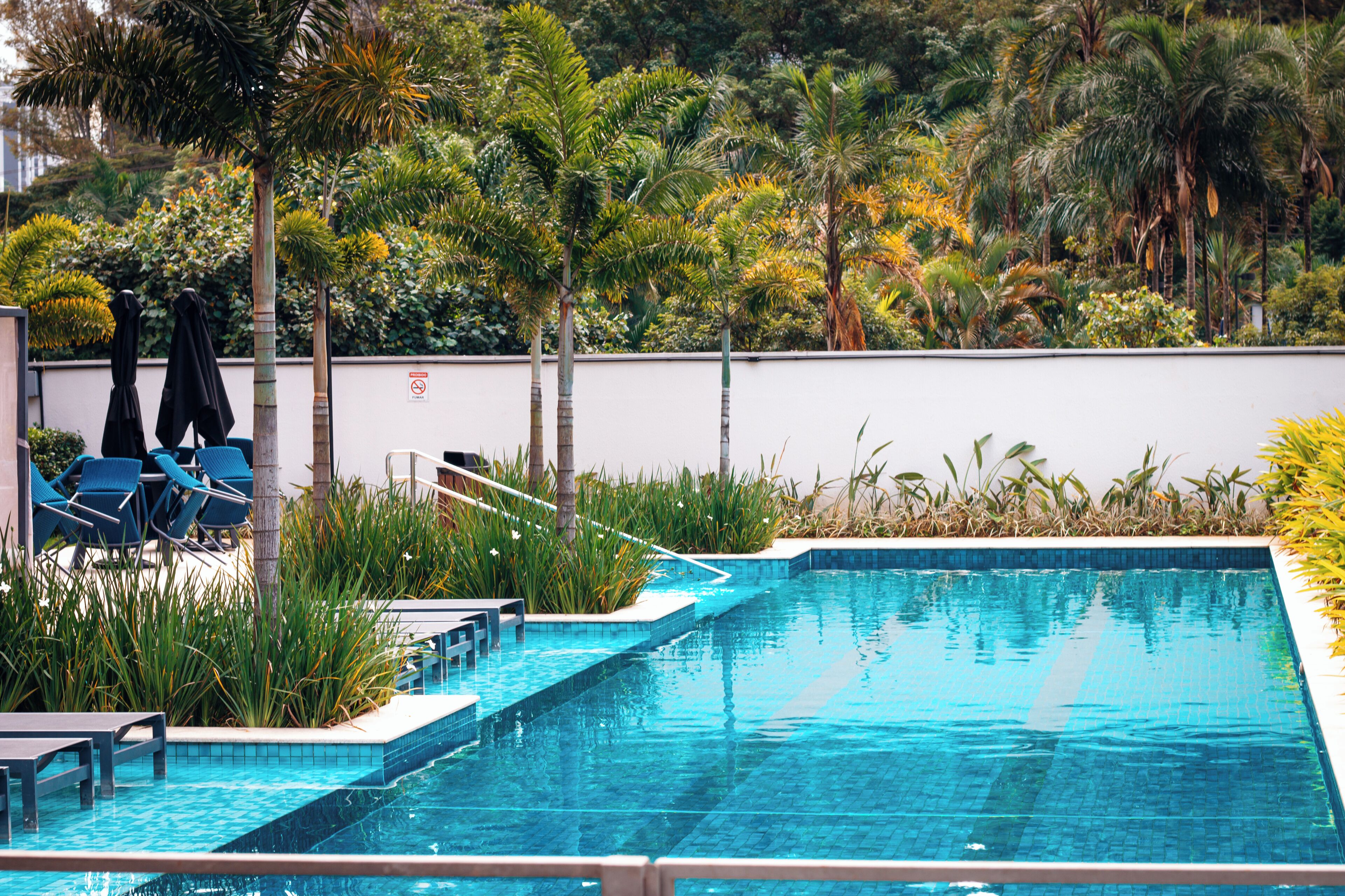 Une piscine dont le bord est revêtu de carrelage, entourée de verdure et de palmiers.