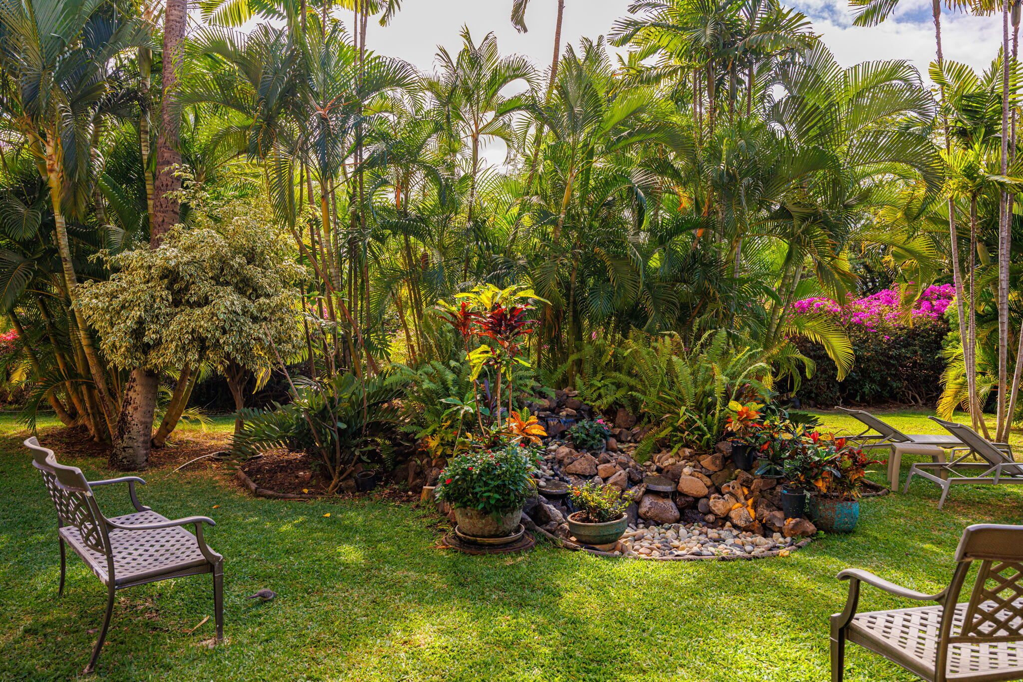 Terrain de l’hébergement 