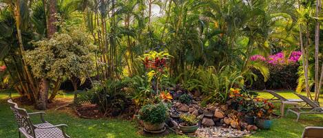 Terrain de lâhĂ©bergement