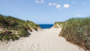 Un sendero arenoso que conduce al océano, rodeado de dunas cubiertas de hierba.