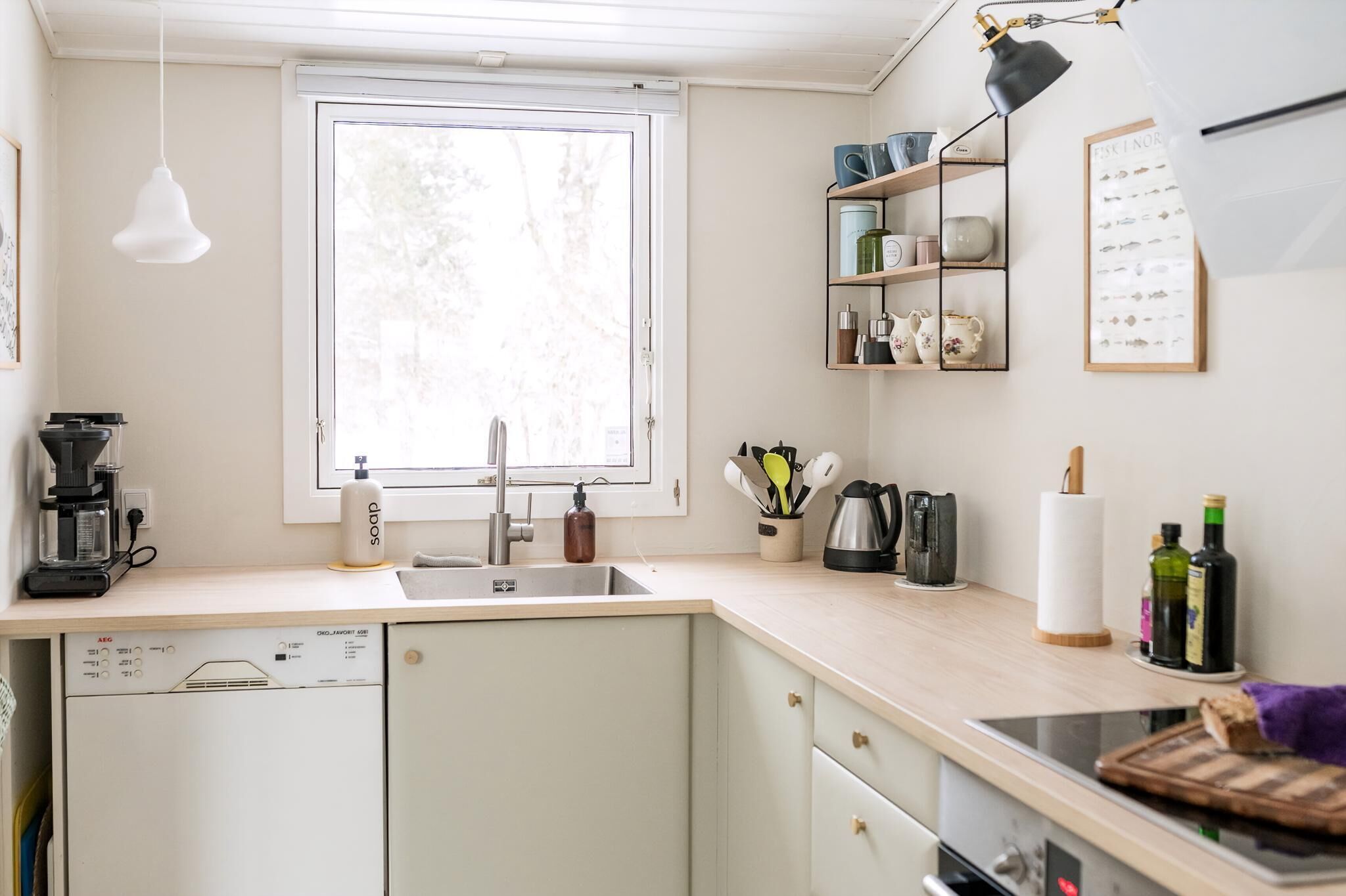 Fridge, oven, stovetop, dishwasher