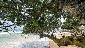Une plage avec une balançoire suspendue à une branche d’arbre, d’où l’on a une vue sur l’océan.