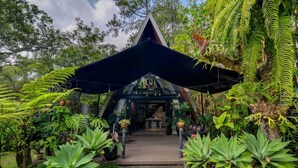A tropical garden with a wooden deck leading to a building with a dark canopy. - Intragama Villa (Cisarua)