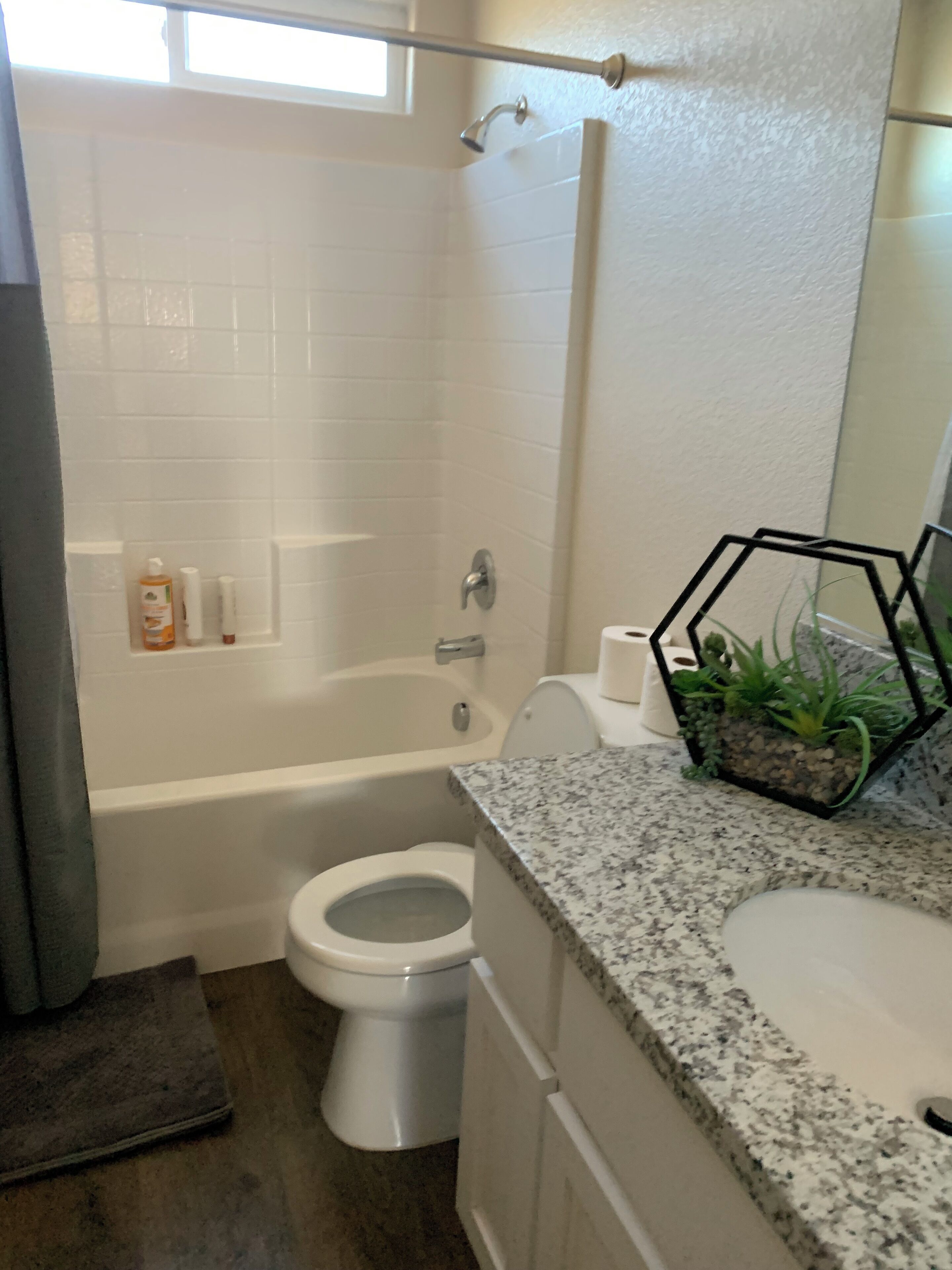 Une salle de bain avec une baignoire, des toilettes et un lavabo. Il y a une tringle à rideau de douche au-dessus de la baignoire et une petite plante sur le comptoir du lavabo.