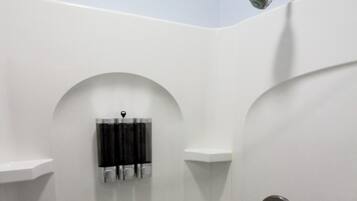 Douche, sèche-cheveux, serviettes fournies, savon