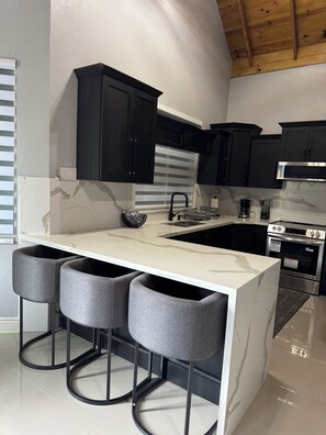 Private kitchen - Luxury Oasis Penthouse (Mandeville)
