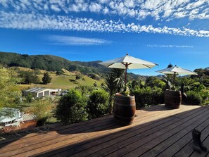 Terrace/patio - Family Farm Stay, close to walking/biking tracks, cable bay and 12min to town. (Hira)