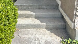 Une porte d’entrée avec un mur en pierre, une marche en béton menant à la porte, et un petit arbuste vert sur le côté gauche.